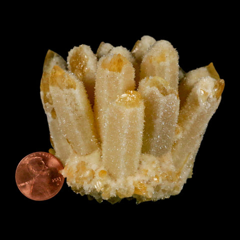 3.1" Yellow Phantom Ghost Quartz Crystal, Chlorite Cluster Mineral Specimen - Fossil Age Minerals