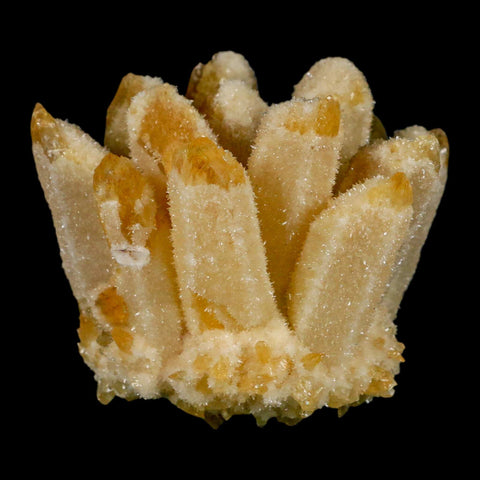 3.1" Yellow Phantom Ghost Quartz Crystal, Chlorite Cluster Mineral Specimen - Fossil Age Minerals