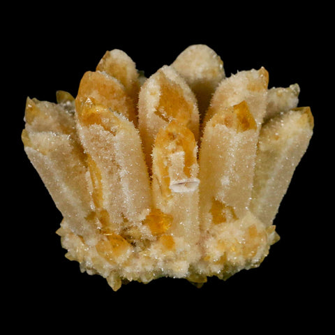 3.1" Yellow Phantom Ghost Quartz Crystal, Chlorite Cluster Mineral Specimen - Fossil Age Minerals