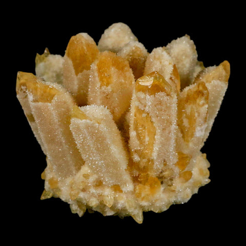 3.1" Yellow Phantom Ghost Quartz Crystal, Chlorite Cluster Mineral Specimen - Fossil Age Minerals