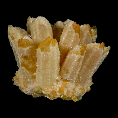 3.1" Yellow Phantom Ghost Quartz Crystal, Chlorite Cluster Mineral Specimen - Fossil Age Minerals