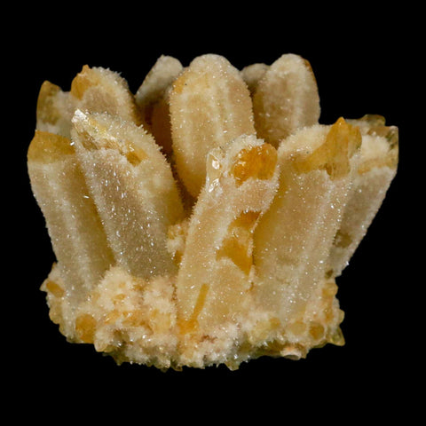 3.1" Yellow Phantom Ghost Quartz Crystal, Chlorite Cluster Mineral Specimen - Fossil Age Minerals