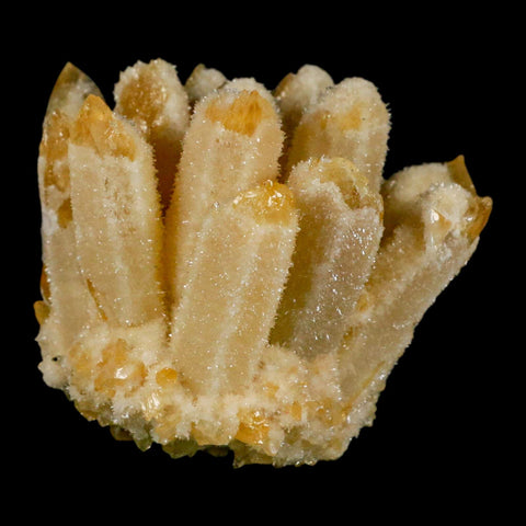 3.1" Yellow Phantom Ghost Quartz Crystal, Chlorite Cluster Mineral Specimen - Fossil Age Minerals