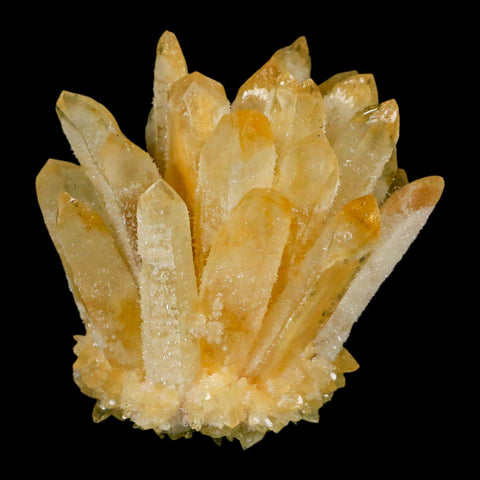 3.1" Yellow Phantom Ghost Quartz Crystal, Chlorite Cluster Mineral Specimen - Fossil Age Minerals