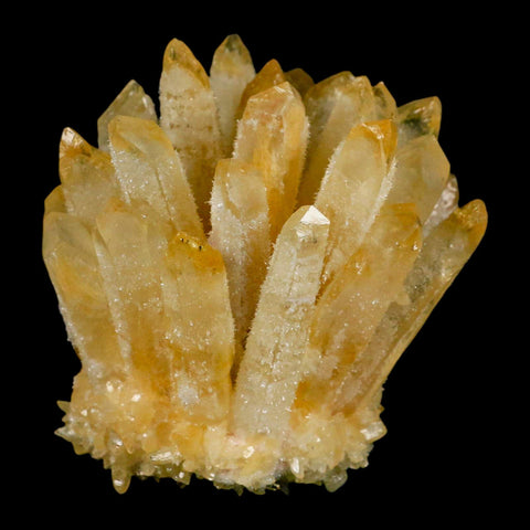 3.1" Yellow Phantom Ghost Quartz Crystal, Chlorite Cluster Mineral Specimen - Fossil Age Minerals