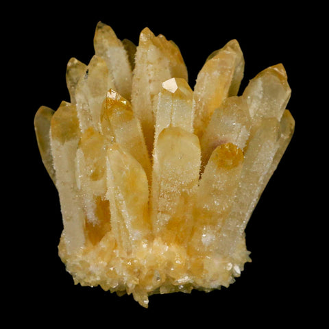 3.1" Yellow Phantom Ghost Quartz Crystal, Chlorite Cluster Mineral Specimen - Fossil Age Minerals