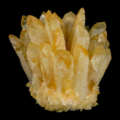 3.1" Yellow Phantom Ghost Quartz Crystal, Chlorite Cluster Mineral Specimen - Fossil Age Minerals