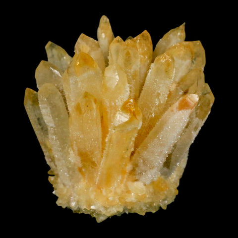 3.1" Yellow Phantom Ghost Quartz Crystal, Chlorite Cluster Mineral Specimen - Fossil Age Minerals