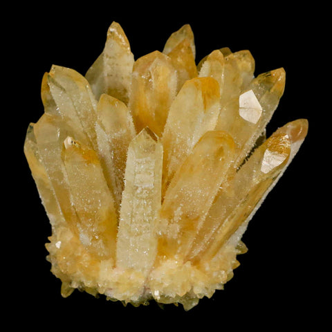 3.1" Yellow Phantom Ghost Quartz Crystal, Chlorite Cluster Mineral Specimen - Fossil Age Minerals