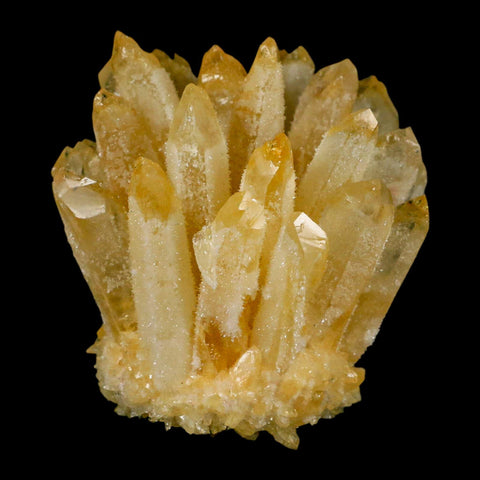 3.1" Yellow Phantom Ghost Quartz Crystal, Chlorite Cluster Mineral Specimen - Fossil Age Minerals