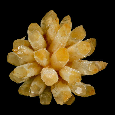 3.1" Yellow Phantom Ghost Quartz Crystal, Chlorite Cluster Mineral Specimen - Fossil Age Minerals