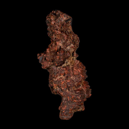 3.2" Prehistoric Coprolite Fossil Specimen Poop Dung Miocene Madagascar