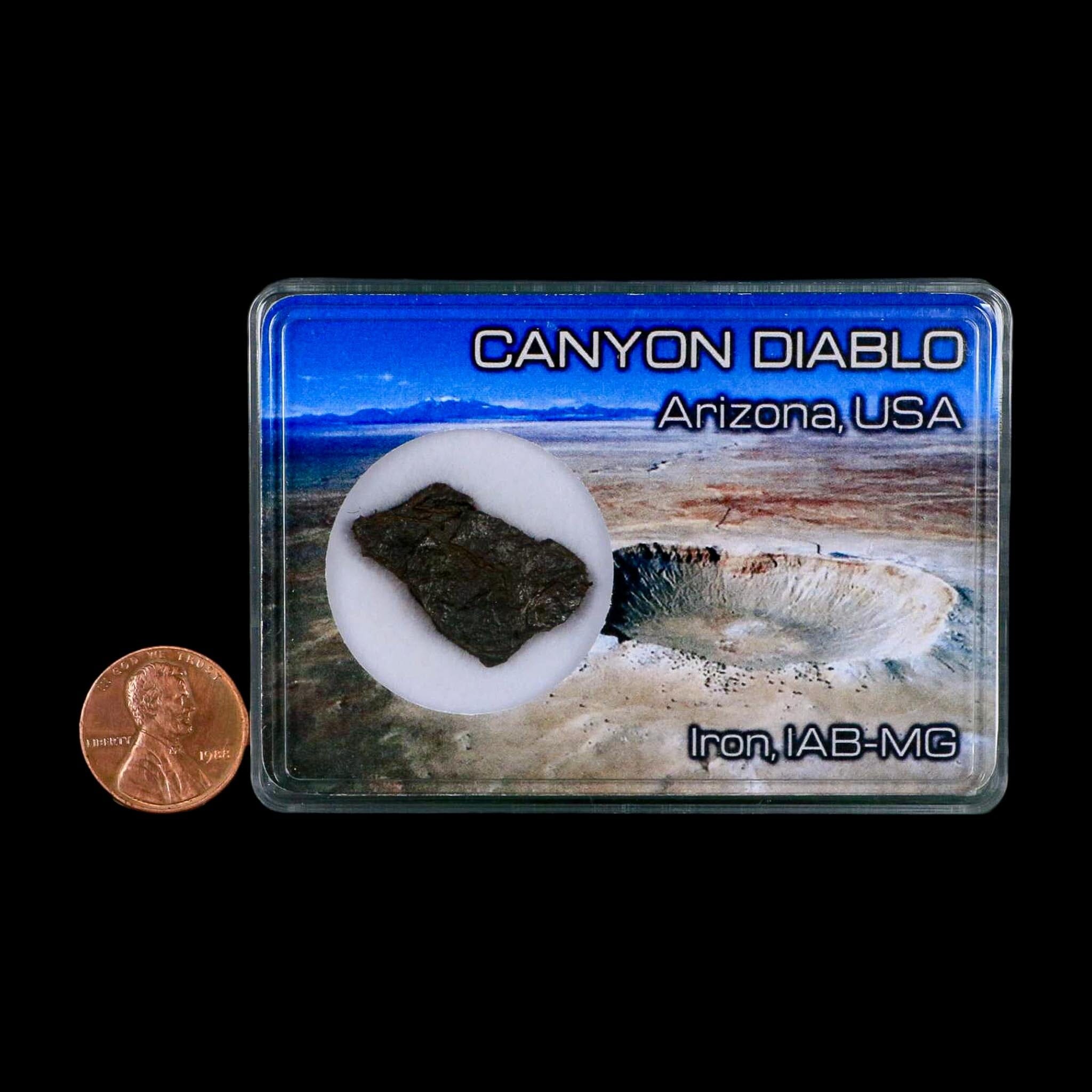 1." Canyon Diablo Arizona Meteorite Specimen Iron-Nickel Meteorites 5.89 Grams Display - Fossil Age Minerals