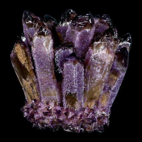 3.5" Purple Phantom Ghost Quartz Crystal, Chlorite Cluster Mineral Specimen - Fossil Age Minerals