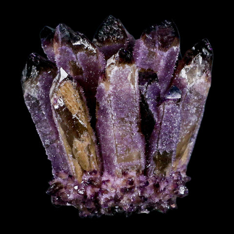 3.5" Purple Phantom Ghost Quartz Crystal, Chlorite Cluster Mineral Specimen - Fossil Age Minerals