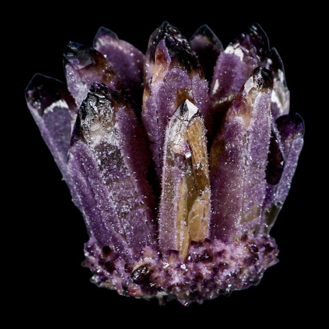 3.5" Purple Phantom Ghost Quartz Crystal, Chlorite Cluster Mineral Specimen - Fossil Age Minerals