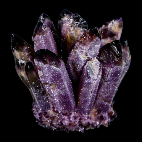 3.5" Purple Phantom Ghost Quartz Crystal, Chlorite Cluster Mineral Specimen - Fossil Age Minerals