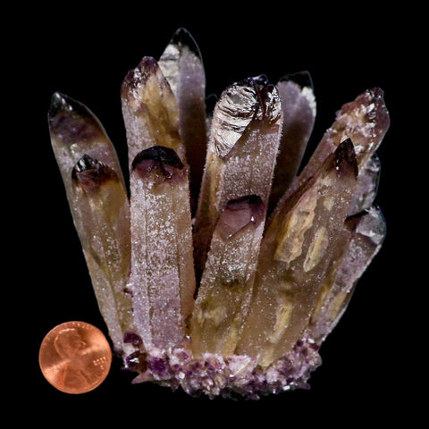 3.6" Purple Phantom Ghost Quartz Crystal, Chlorite Cluster Mineral Specimen - Fossil Age Minerals