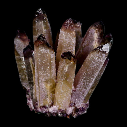 3.6" Purple Phantom Ghost Quartz Crystal, Chlorite Cluster Mineral Specimen - Fossil Age Minerals