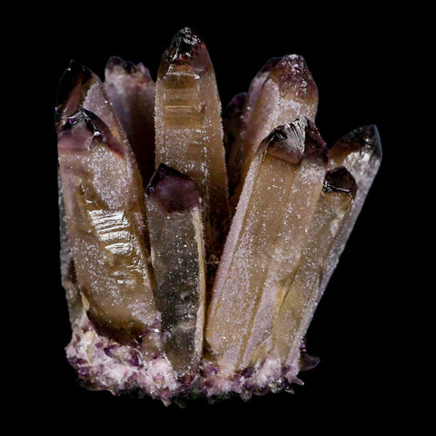 3.6" Purple Phantom Ghost Quartz Crystal, Chlorite Cluster Mineral Specimen - Fossil Age Minerals