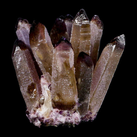 3.6" Purple Phantom Ghost Quartz Crystal, Chlorite Cluster Mineral Specimen - Fossil Age Minerals