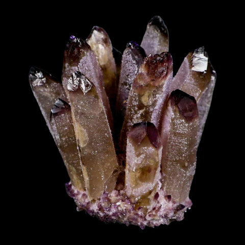 3.6" Purple Phantom Ghost Quartz Crystal, Chlorite Cluster Mineral Specimen - Fossil Age Minerals