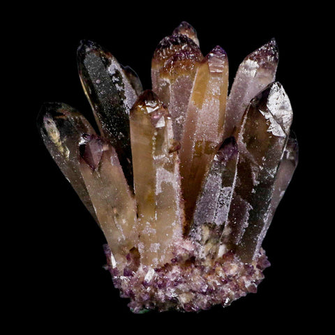 3.4" Purple Phantom Ghost Quartz Crystal, Chlorite Cluster Mineral Specimen - Fossil Age Minerals