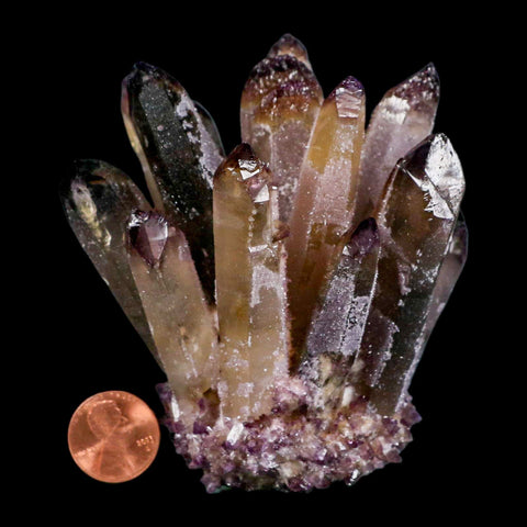 3.4" Purple Phantom Ghost Quartz Crystal, Chlorite Cluster Mineral Specimen - Fossil Age Minerals