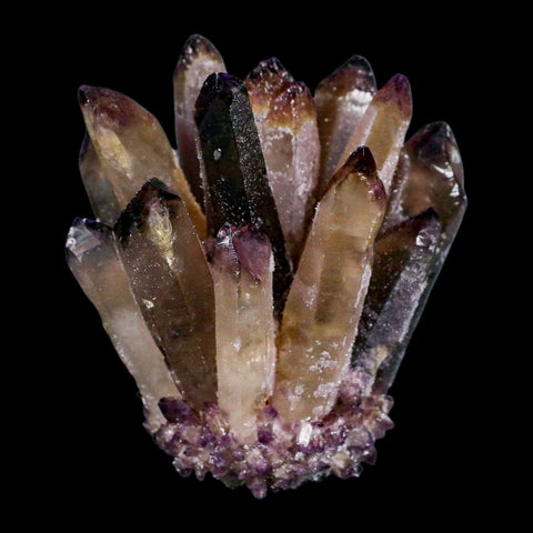 3.4" Purple Phantom Ghost Quartz Crystal, Chlorite Cluster Mineral Specimen - Fossil Age Minerals