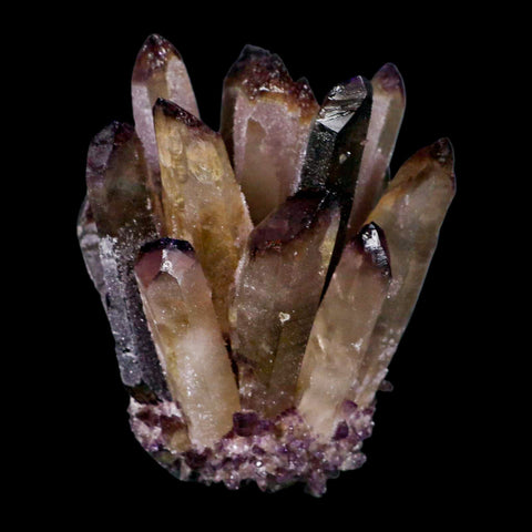 3.4" Purple Phantom Ghost Quartz Crystal, Chlorite Cluster Mineral Specimen - Fossil Age Minerals