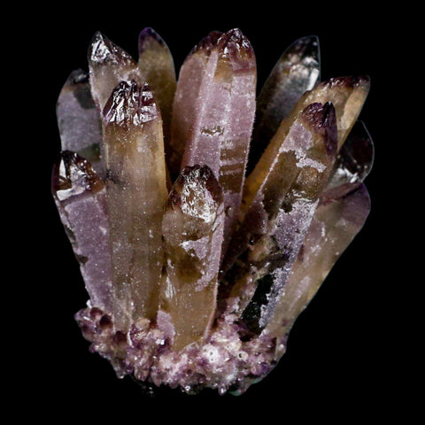 3.4" Purple Phantom Ghost Quartz Crystal, Chlorite Cluster Mineral Specimen - Fossil Age Minerals