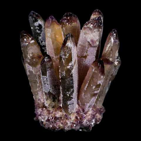 3.4" Purple Phantom Ghost Quartz Crystal, Chlorite Cluster Mineral Specimen - Fossil Age Minerals