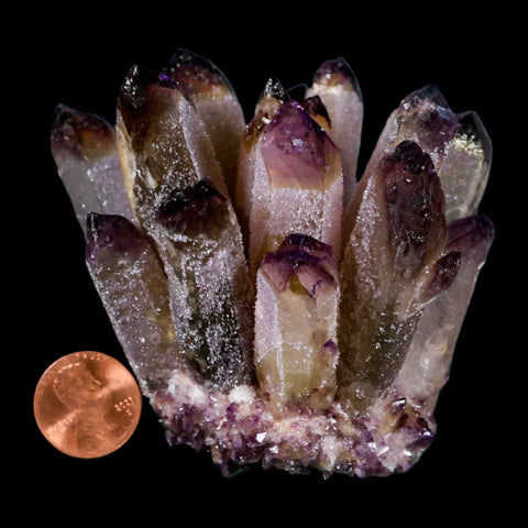 2.9" Purple Phantom Ghost Quartz Crystal, Chlorite Cluster Mineral Specimen - Fossil Age Minerals