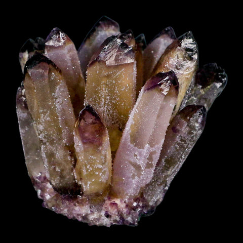 2.9" Purple Phantom Ghost Quartz Crystal, Chlorite Cluster Mineral Specimen - Fossil Age Minerals