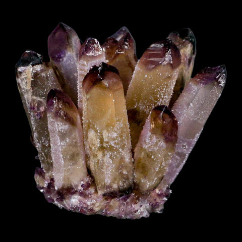 2.9" Purple Phantom Ghost Quartz Crystal, Chlorite Cluster Mineral Specimen - Fossil Age Minerals