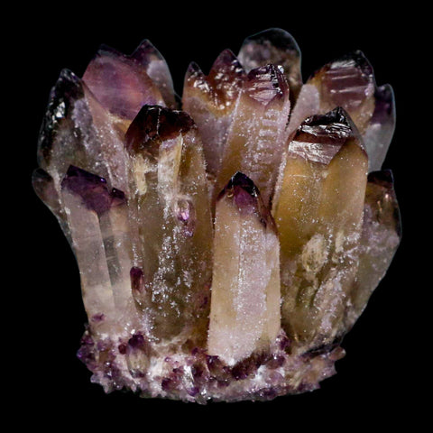 2.9" Purple Phantom Ghost Quartz Crystal, Chlorite Cluster Mineral Specimen - Fossil Age Minerals