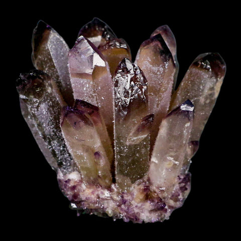 2.9" Purple Phantom Ghost Quartz Crystal, Chlorite Cluster Mineral Specimen - Fossil Age Minerals