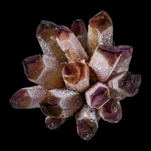 2.9" Purple Phantom Ghost Quartz Crystal, Chlorite Cluster Mineral Specimen - Fossil Age Minerals