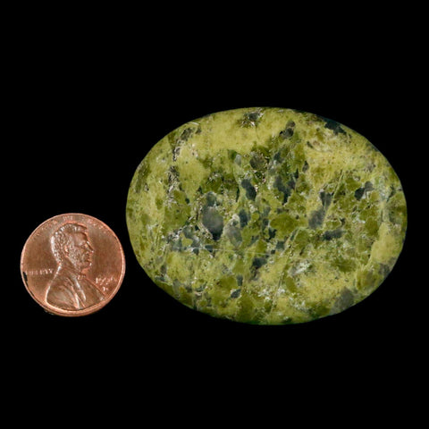 2" Unakite Green Epidote Orthoclase Polished Worry Palm Stone Mineral Specimen - Fossil Age Minerals