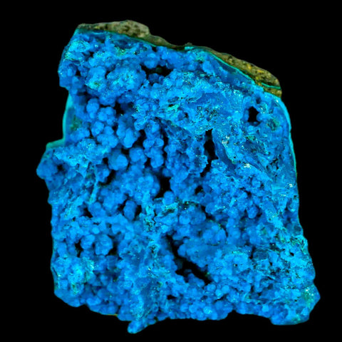 1.9" Chrysocolla Malachite Rare Botryoidal Grape Crystal Teal And Green From Peru - Fossil Age Minerals