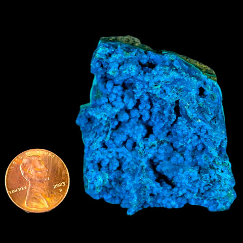 1.9" Chrysocolla Malachite Rare Botryoidal Grape Crystal Teal And Green From Peru - Fossil Age Minerals