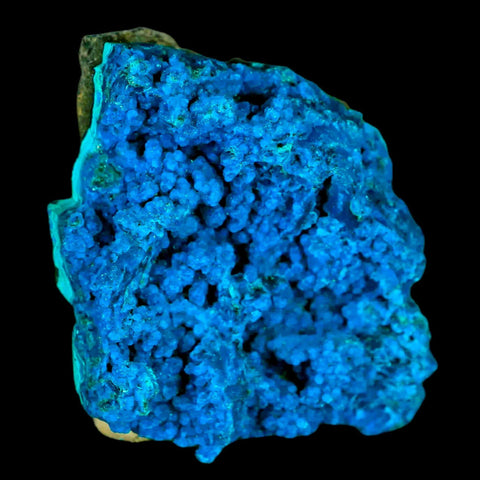 1.9" Chrysocolla Malachite Rare Botryoidal Grape Crystal Teal And Green From Peru - Fossil Age Minerals