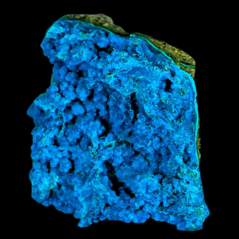 1.9" Chrysocolla Malachite Rare Botryoidal Grape Crystal Teal And Green From Peru - Fossil Age Minerals