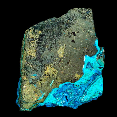 1.9" Chrysocolla Malachite Rare Botryoidal Grape Crystal Teal And Green From Peru - Fossil Age Minerals