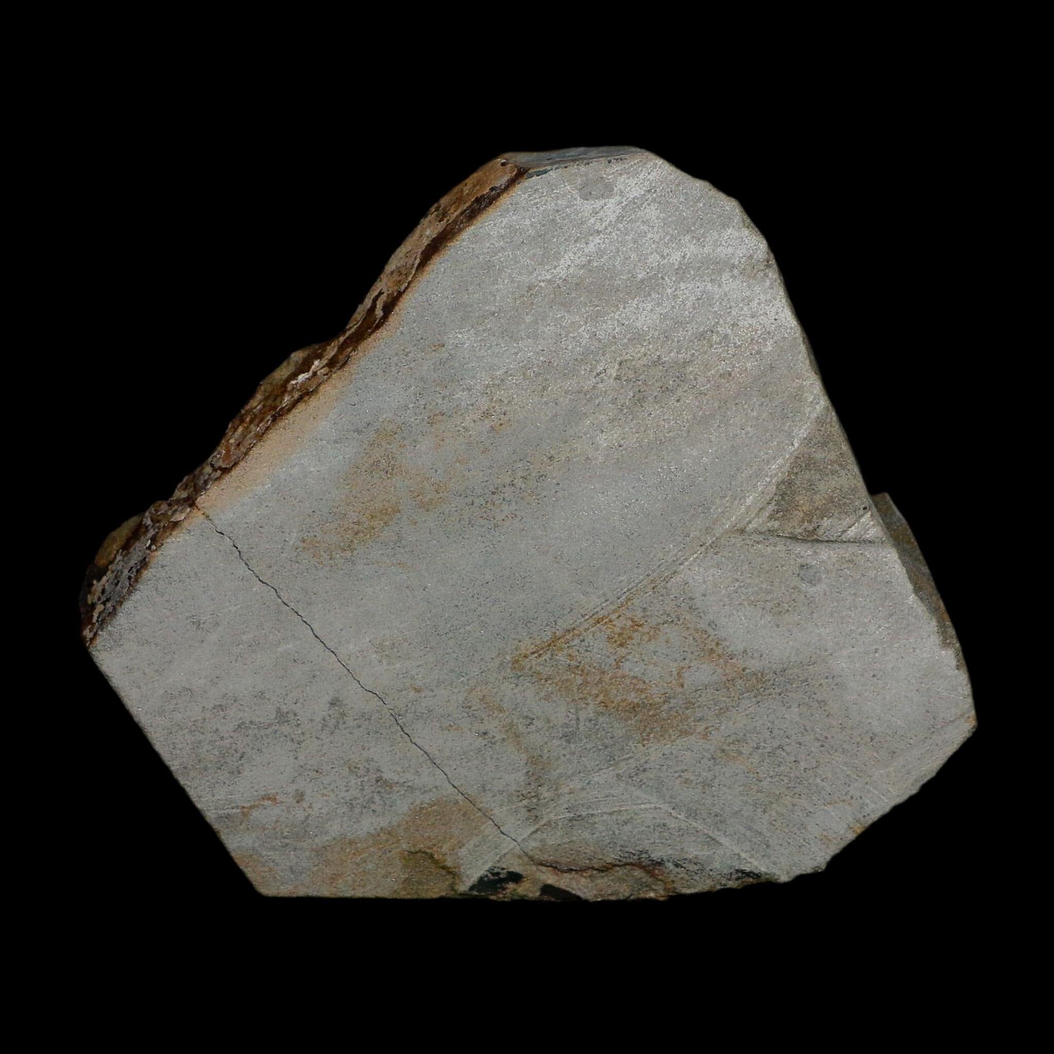 2 Two Brittlestar Ophiura Sp Starfish Fossil Ordovician Age Morocco COA - Fossil Age Minerals