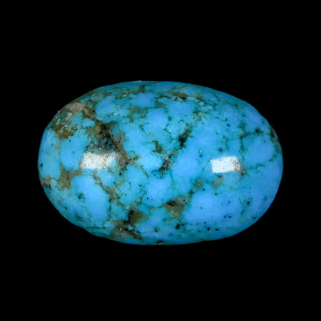 1.3" Natural Polished Teal Turquoise Gemstone Mineral Specimen Cab