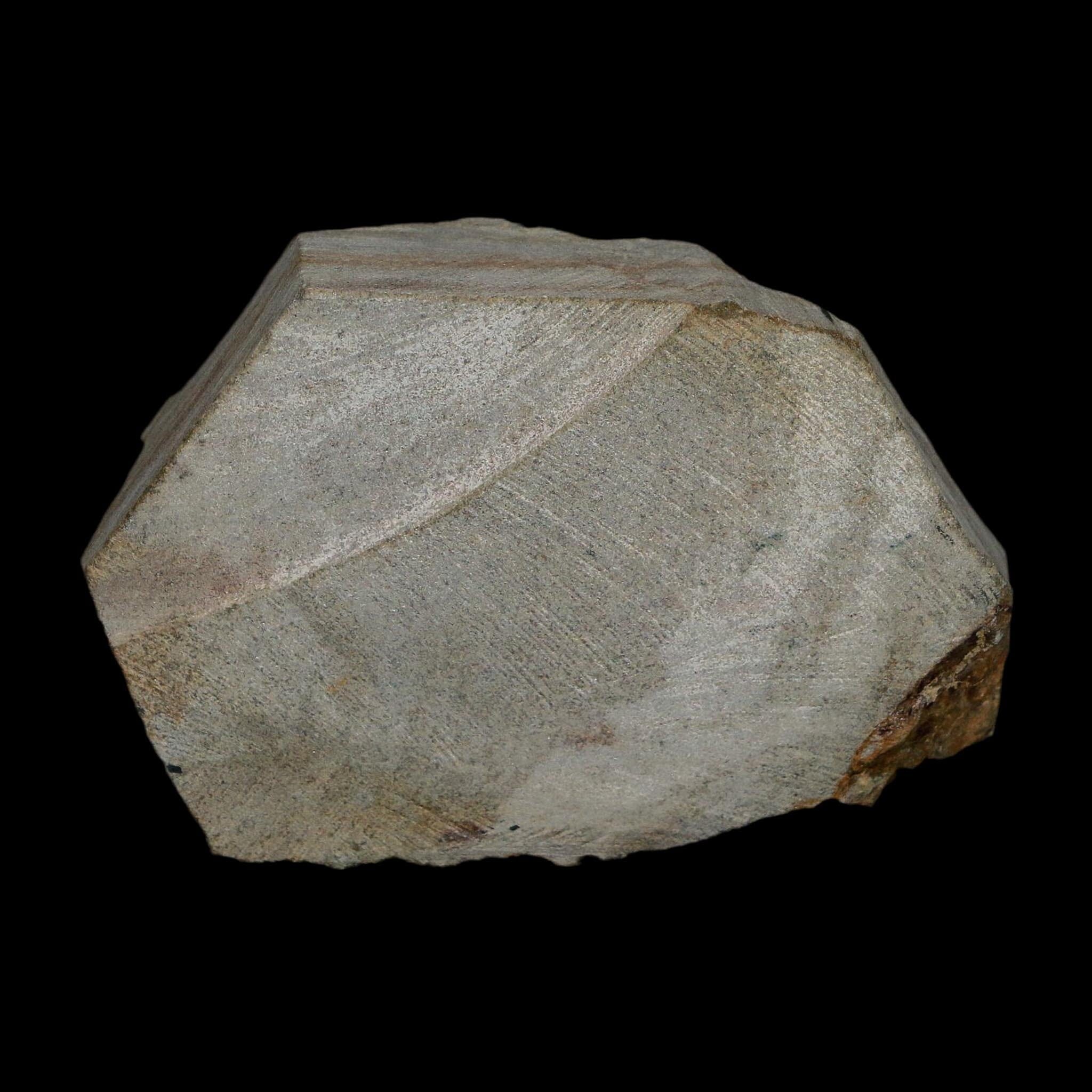 1.8" Brittlestar Ophiura Sp Starfish Fossil Ordovician Age Morocco COA - Fossil Age Minerals