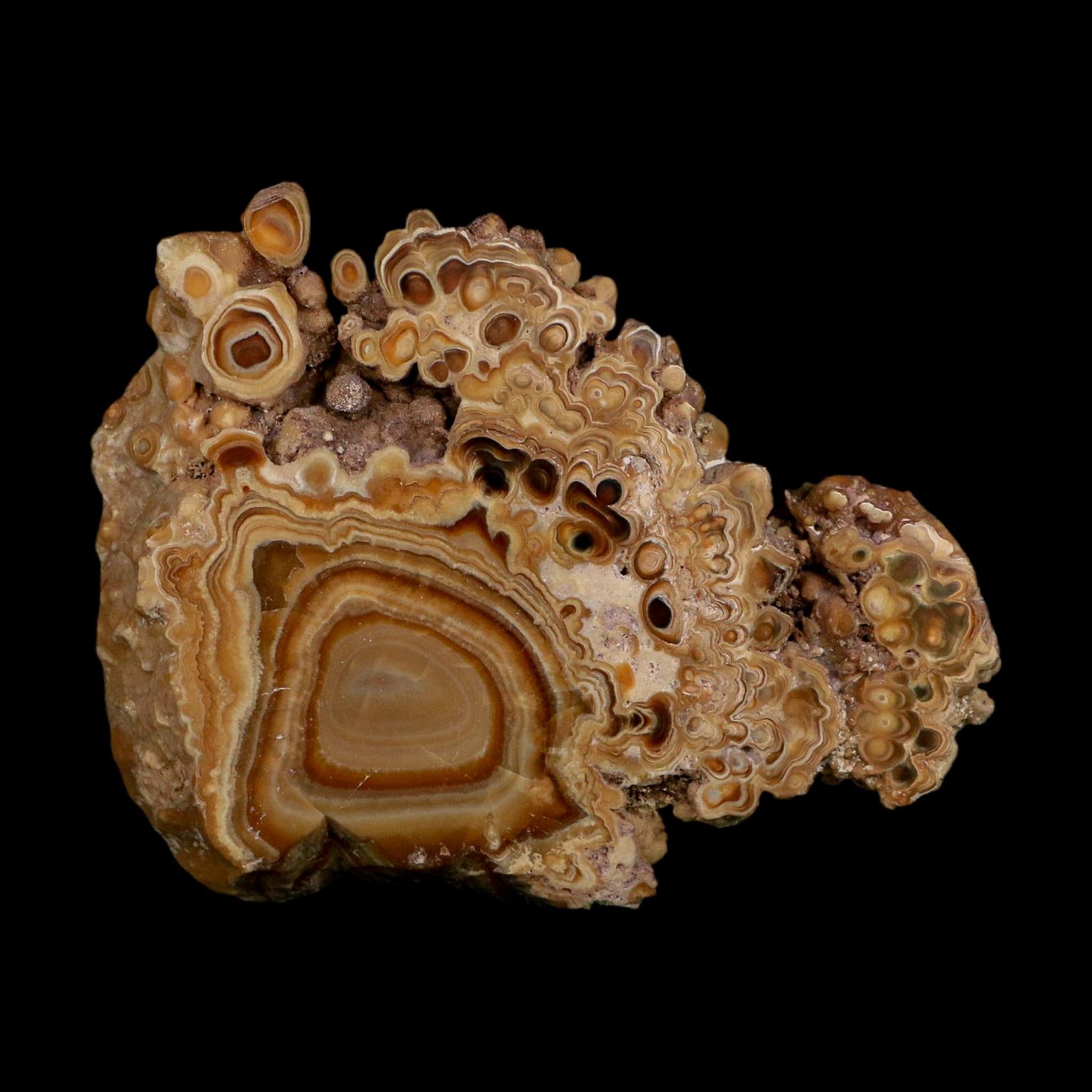 4.4" Aragonite Stalactite Slice Cave Calcite Crystal Mineral Specimen Morocco