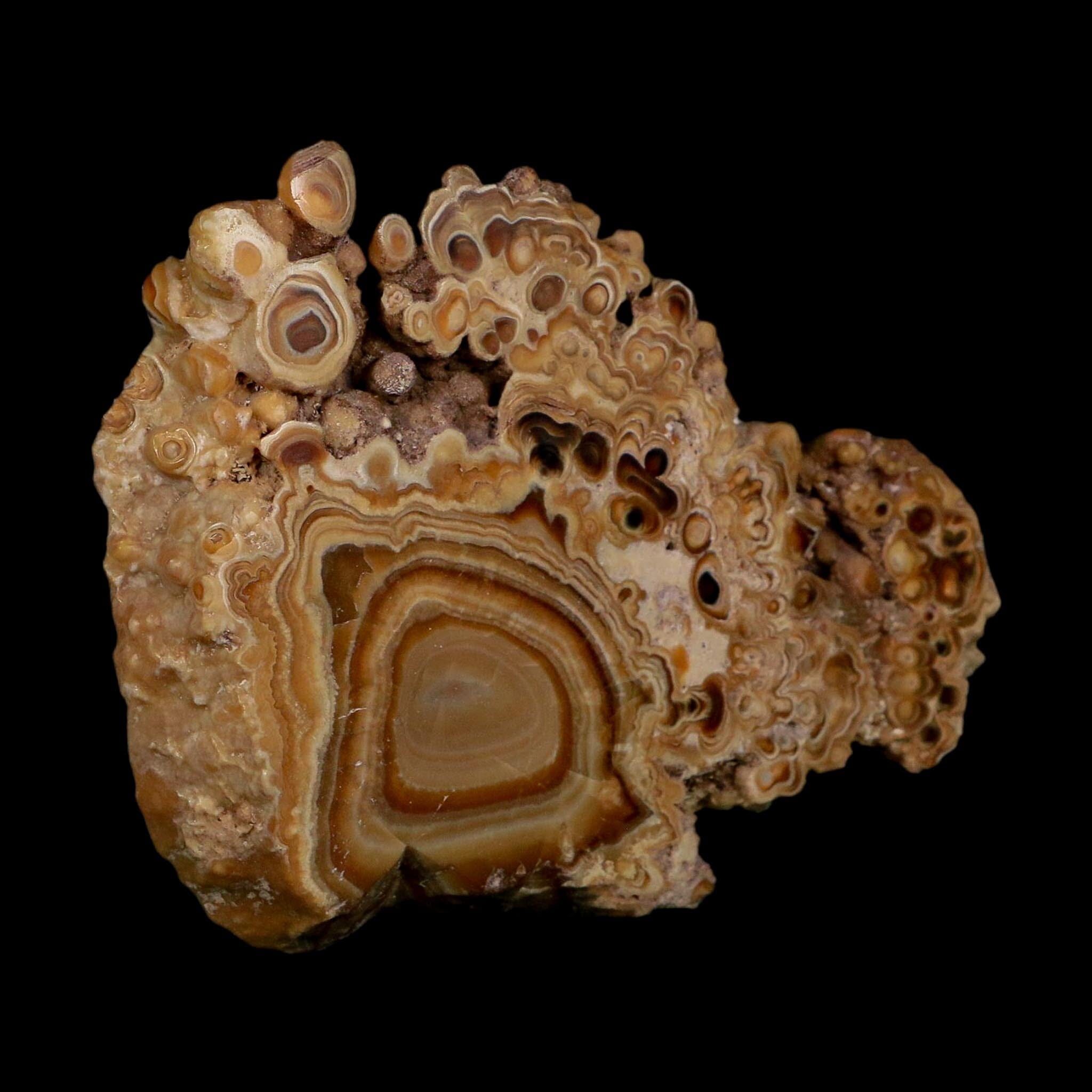 4.4" Aragonite Stalactite Slice Cave Calcite Crystal Mineral Specimen Morocco