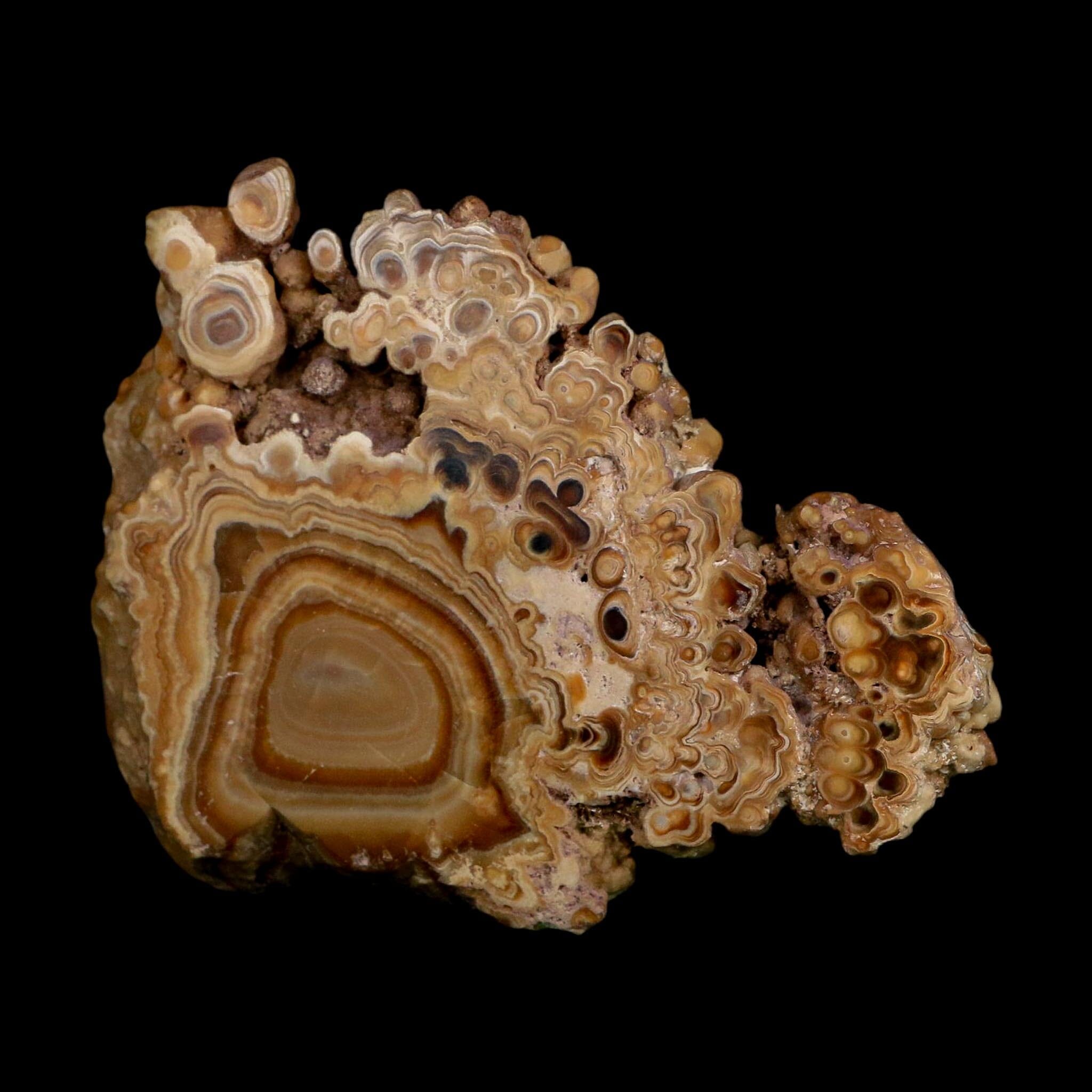 4.4" Aragonite Stalactite Slice Cave Calcite Crystal Mineral Specimen Morocco